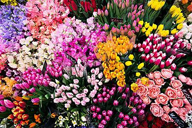 《巫师4》效应？CDPR 2024年股价大涨了71%