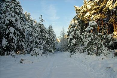 EDG剧本？ PRX力压FNC夺得多伦多大师赛冠军
